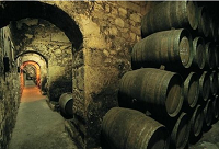 �ƽ���ӛ�����Z�{��΢�����Ѿƌ���׺�......