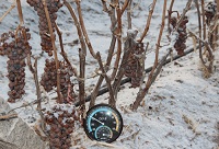 ���Ƶı�����̫��������ԓ��ô�ȣ�