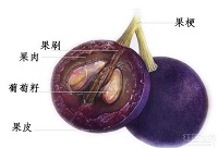 ���ѾƆΌ������ϵĂ��f