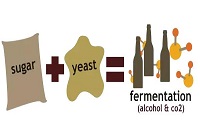 �]�д���17�ȵ����ѾƆ᣿