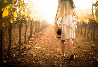 ���Ѿ���һ�����۵İ�H