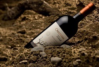 ��غ��ƽ����m���ղ�ʲô���Ѿƣ�