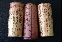 ��ľ�����Է�ƿ��߀��������Щ��