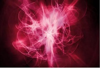 ���ѾƵľ��w��ʲô��