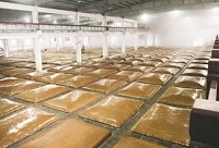 ���y(t��ng)���x�ϵİ׾ƏS�O(sh��)Ӌ(j��)