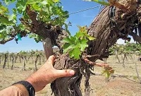 �������Ѿ��ǺþƆ���