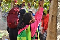 �ž����(y��ng)��Ʒһ���r(sh��)���������Ѿ�