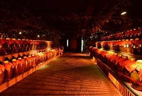 ��ʲô�׾ƾƽѱȰ׾ƾ�ƿ���Ƹ�����