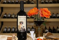 �OӋ�t��չ�d��ע�����