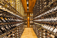 ���ϲ�g�㙉ɫϵ�оƽѾƹ����